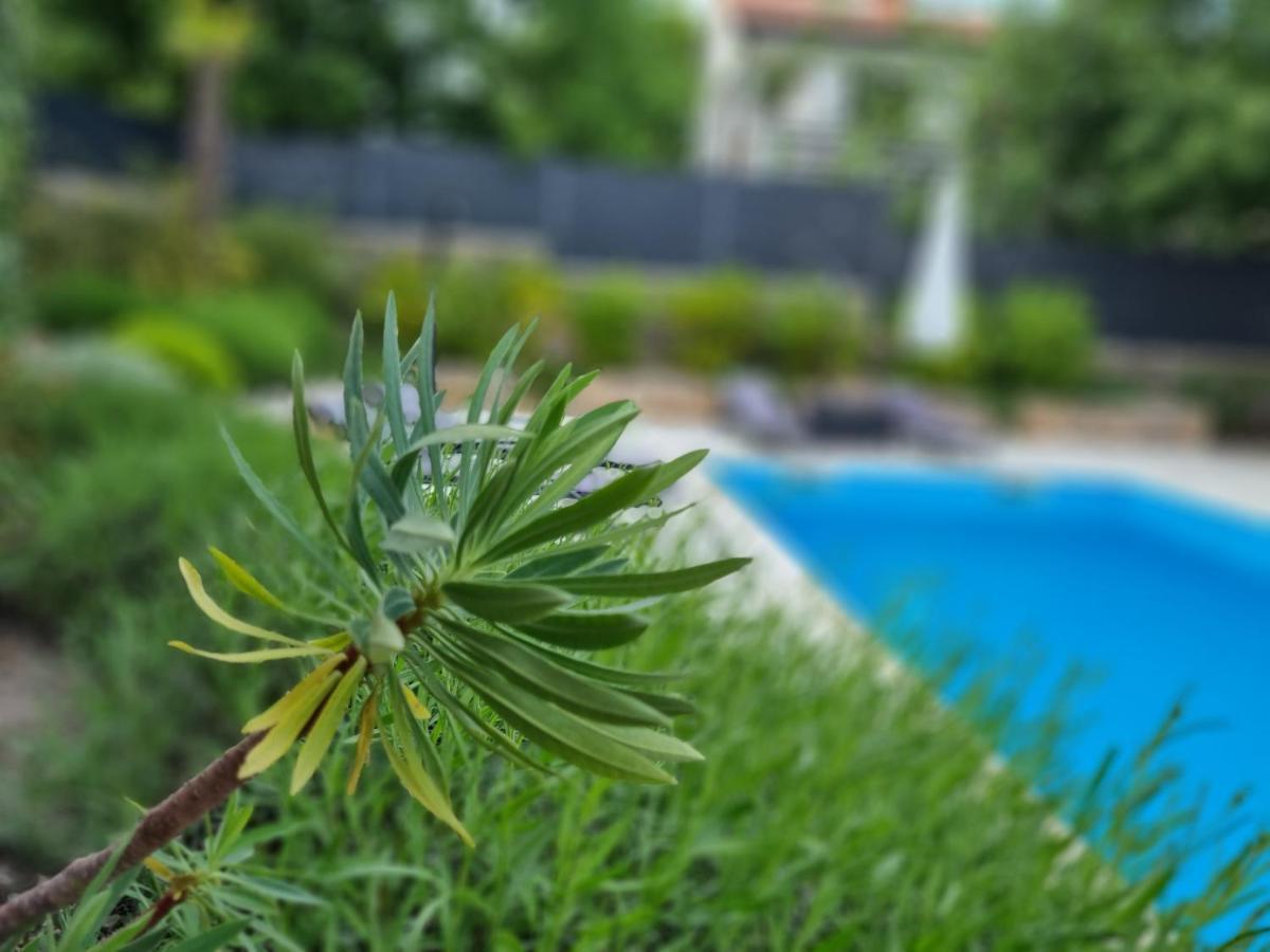Villa Bellina Muraj Kornic Bagian luar foto